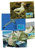 Tristan da Cunha 1999 - Păsări, albatros, fauna WWF, serie 4 carti poștale maxime