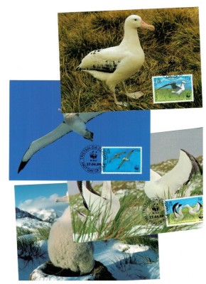 Tristan da Cunha 1999 - Păsări, albatros, fauna WWF, serie 4 carti poștale maxime foto