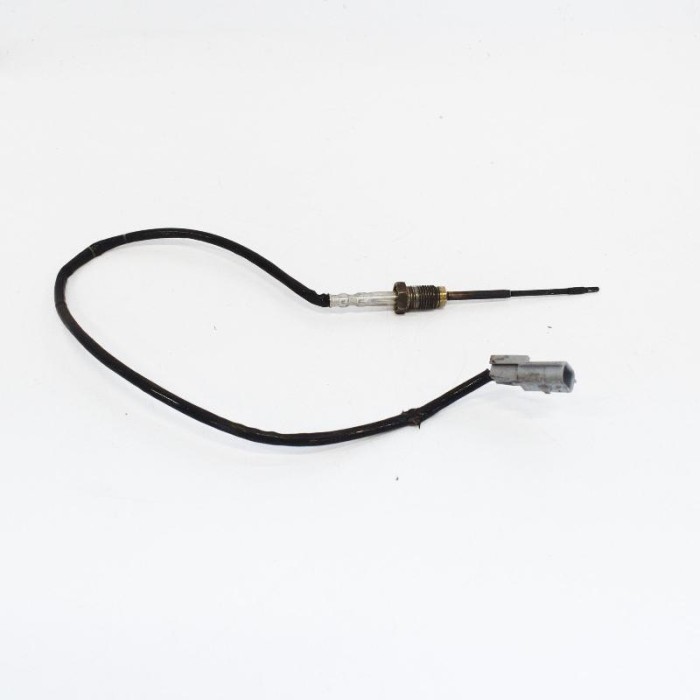 Senzor de temperatură NISSAN QASHQAI II J11, J11_ 2016 OEM: 226401632R 3995081
