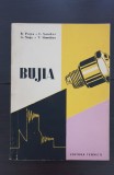 Bujia - B. Popa, L. Șandor, G. Nagy, T. Simedrea