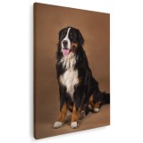 Tablou caine Ciobanesc de Berna Tablou canvas pe panza CU RAMA 70x100 cm