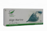 ALGE MARINE 30CPS, Medica