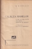Dr. M. Brezis - Calauza mamelor. Cum sa hranim sugarul sanatos si bolnav. Cu o