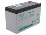 Baterie Plumb-Acid 12V 7.2Ah AGM Fără &Icirc;ntreținere