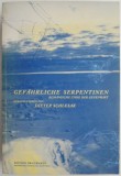 Gefahrliche Serpentinen: Lyrik der Gegenwart - Carte in Germana, Poezie Romaneasca Contemporana