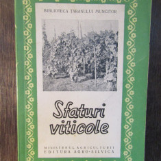 SFATURI VITICOLE