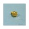 MBS Jigler 155 M5x0.75, EBC, pentru carburatoare Solex sau Mikuni, Cod Produs: 7240310MA