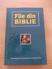 FILE DIN BIBLIE-CHISINAU-LITERATURA ARTISTICA-CARTONATA-R5E foto