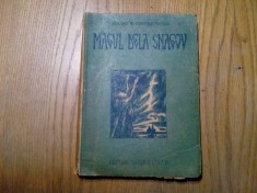 MAGUL DELA SNAGOV - Armand G. Constantinescu - 174 p. cu ilustratii