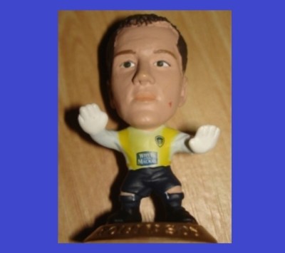 Figurina: P.Robinson, Leeds United, 2003 foto