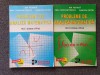 Culegere Matematica Petrica + Constantinescu, 2 Vol., 1993, Petrion. Probleme Analiza Matematica