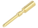 &#039;Pin Tată Crimpat M12 1,5mm Aurit 2,5mm2&#039;