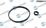 Set Garnituri, Radiator Ulei 255925 DRM0615