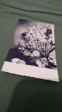 Cumpara ieftin CARTE POSTALA FELICITARE CIRCULATA