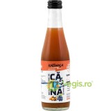 Nectar de Catina cu Afine Ecologic/Bio 250ml