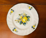 FARFURIE DIN PORTELAN VILLEROY &amp; BOCH- COLECTIA &quot;Jamaica&quot; D24CM