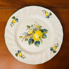 FARFURIE DIN PORTELAN VILLEROY & BOCH- COLECTIA "Jamaica" D24CM