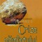 Criza pamantului plat - 2009 - Tiberiu Brailean (P33)