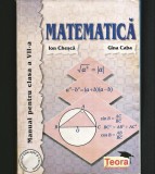 Cumpara ieftin MANUAL DE MATEMATICĂ PENTRU CLASA A 7 VII-A - ION CHEȘCĂ, GINA CABA - TEORA, Clasa 7, Matematica