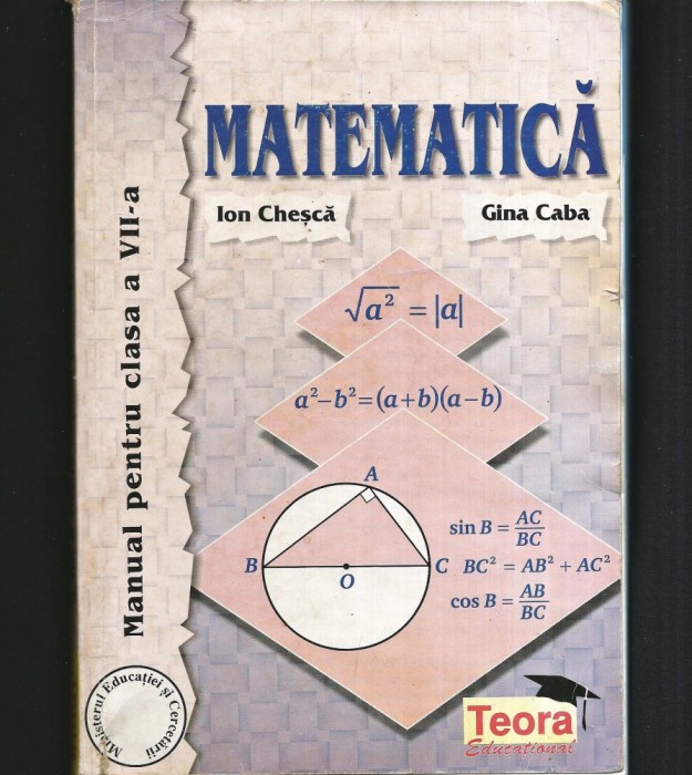 MANUAL DE MATEMATICĂ PENTRU CLASA A 7 VII-A - ION CHEȘCĂ, GINA CABA - TEORA