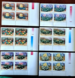 TIMBRE ROMANIA MNH LP1433/1997 -CACTUȘI -Bloc de 4 timbre, Nestampilat