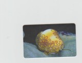 bnk card Cartele telefonice - Romania Romtelecom 2005 - Sea Fauna 1 - Col:RO-ROM-0288