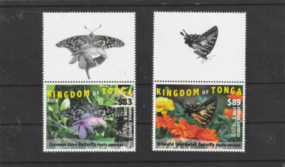 Tonga 2016-Fauna,Fluturi,serie 2 valori,cu vignete,dantelate,MNH,Mi.2048-2049 foto