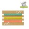 Bratari elastice de silicon cu citronelă, set 3 culori multicolor, CMCLASS - 2