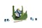 icon 3