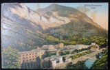 Carte Postala, Baile Herculane, vedere generala, perioada interbelica