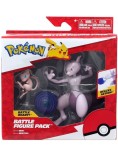 Pokemon Battle Mewtwo And Mew