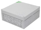 Cutie de Conexiuni IP65 Gri 300x300x132mm