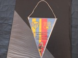 fanion FC Baia Mare - Steaua
