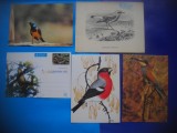 HOPCT LOT NR 397 PASARI -FAUNA-5 CARTI POSTALE-NECIRCULATE, Circulata, Printata