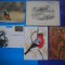 HOPCT LOT NR 397 PASARI -FAUNA-5 CARTI POSTALE-NECIRCULATE