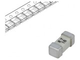 Siguranță &Icirc;nt&acirc;rziere 1A SMD 125V AC/DC, Littelfuse