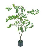 Cumpara ieftin Artar verde in ghiveci 120 cm