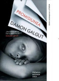 Promisiunea - Paperback brosat - Damon Galgut - Litera, 2022