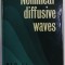 NONLINEAR DIFFUSIVE WAVES by P.L. SACHDEV , 1987