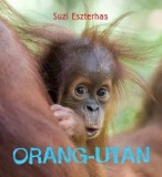 Orang-Utan (Eye on the Wild) | Suzi Eszterhas, Frances Lincoln Publishers Ltd