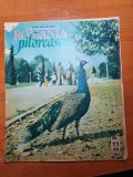 Romania pitoreasca noiembrie 1991-barbatesti valcea,govora,avrig,vatra dornei