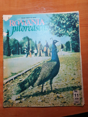 romania pitoreasca noiembrie 1991-barbatesti valcea,govora,avrig,vatra dornei foto