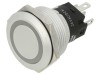 Comutator Anti-Vandalism SPDT 3A/240V 24V