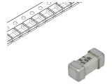 Siguranță &Icirc;nt&acirc;rziere 3.5A 125V SMD