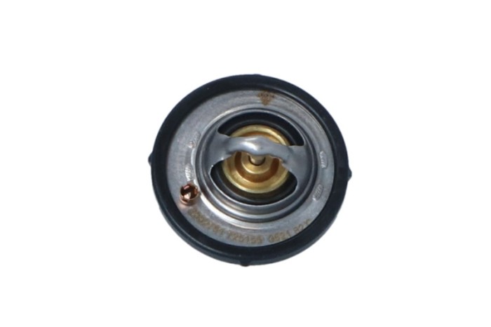 NRF 725159 EASY FIT termostat,lichid racire