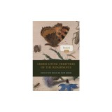 Lesser Living Creatures of the Renaissance: Volume 1, Insects