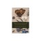 Lesser Living Creatures of the Renaissance: Volume 1, Insects