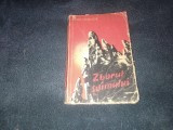 MARIN MIHALACHE - ZBORUL SOIMULUI