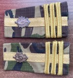 C3 - Grade militare - mozaic padure - colonel geniu - piesa de colectie!