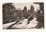 RF68 -Carte Postala- Masivul Rarau, Pietrele Doamnei, circulata 1967